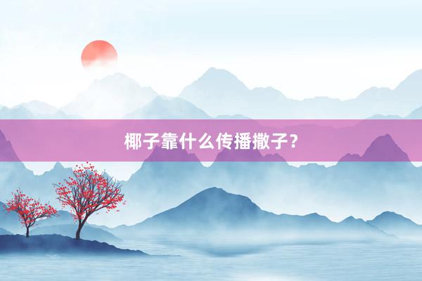 椰子靠什么传播撒子？