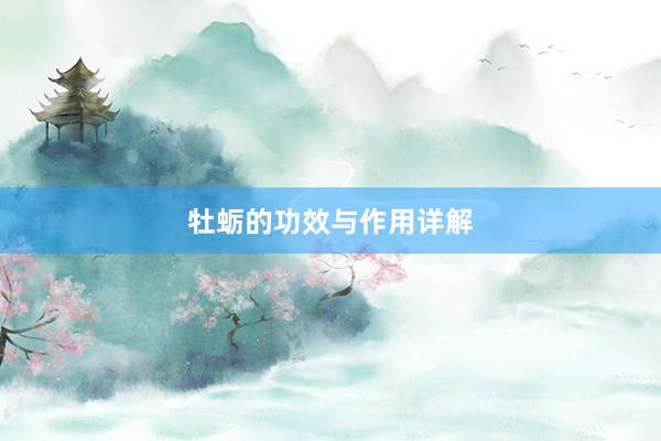 牡蛎的功效与作用详解